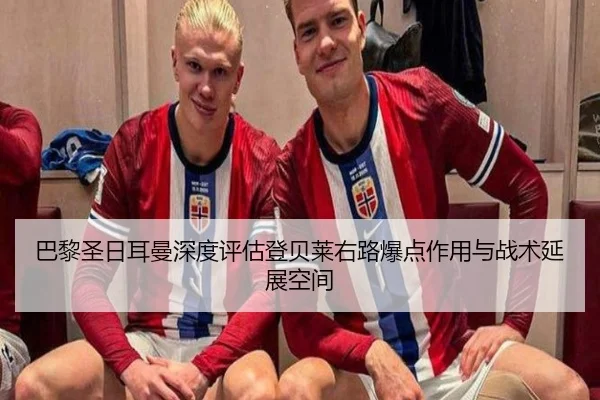 ba-li-sheng-ri-er-man-shen-du-ping-gu-deng-bei-lai-you-lu-bao-dian-zuo-yong-yu-zhan-shu-yan-zhan-kong-jian-2-430.jpg